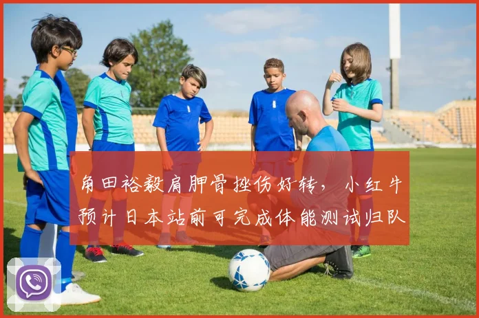 角田裕毅肩胛骨挫伤好转，小红牛预计日本站前可完成体能测试归队